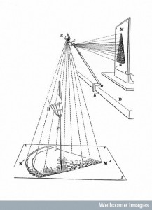 The Camera Lucida in use for microscopical drawings                